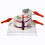 Human Spine Model with Base, Partial Spinal Cord Anatomy Model, Three Thickness Comparison, Durable Teaching Display 1
