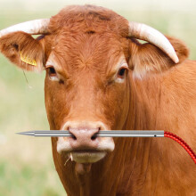 Ago 304 in acciaio inossidabile ago per piercing al naso di bovino – Piercing per il naso del bestiame con foro