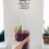 6-Pack Reusable Tritan Straws with Cleaning Brush 6