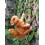 Climbing Squirrel Garden Pot Hanger, Plastic, Brown, 10x 6