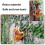 Climbing Squirrel Garden Pot Hanger, Plastic, Brown, 10x 7