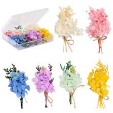 Mini Dried Flower Bouquet Set Multicolor