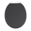 RTS Black MDF Soft Close Toilet Seat 1