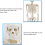 Half Size Human Skeleton Model with Stand, Anatomical Skeleton with Removable Limbs for Study Display 2