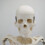 Half Size Human Skeleton Model with Stand, Anatomical Skeleton with Removable Limbs for Study Display 4
