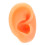 Silicone Right Ear Model for Piercing & Display, Reusable, Flexible 2