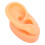 Silicone Right Ear Model for Piercing & Display, Reusable, Flexible 11