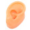 Silicone Right Ear Model for Piercing & Display, Reusable, Flexible 1
