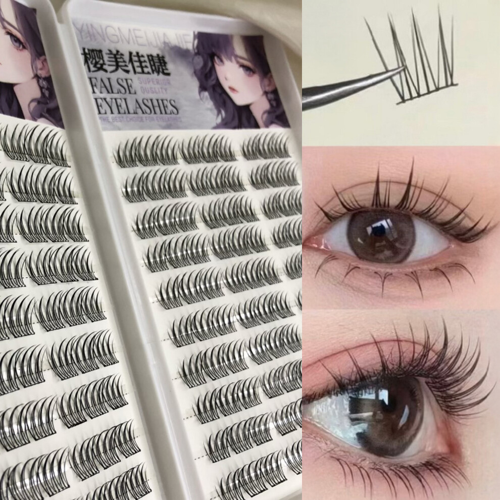 Reach-Tools (E) Fluffy Natural Fake Eyelashes For Women, Daily & Party Wear