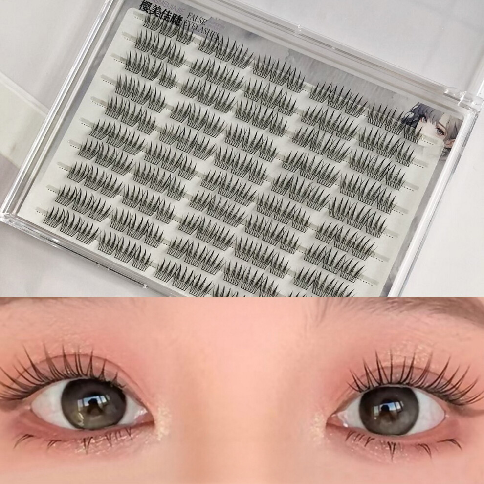 Reach-Tools (B) Fluffy Natural Fake Eyelashes For Women, Daily & Party Wear