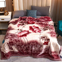 King Size Korean Fleece Blanket Heavy Winter Reversible Soft Warm Bed and Sofa Throw 118x220cm