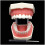 Dental Teeth Model with Gums for Teaching Study, Crown and Cavity Preparation Training 2