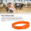 23 Inch Livestock Collar PU 10 Orange 6