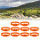 23 Inch Livestock Collar PU 10 Orange 4