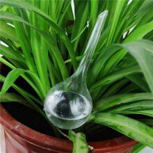 15 Pcs Automatic Watering Device Globes Vacation Houseplant Plant Pot Bulbs Garden Waterer Flower Water Drip Watering