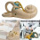 Human Inner Ear Anatomy Model with Enlarged Cochlea and Precise Color Coding for Teaching 2