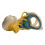 Human Inner Ear Anatomy Model with Enlarged Cochlea and Precise Color Coding for Teaching 1