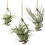 18X Air Pineapple Hook Hanging Flower Stand Pots Display Hanger Holder Iron 2