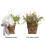 Silk Flower Wreath45cm Multicolour Front Door Decoration 3