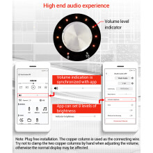 Scheda Amplificatore di Potenza Stereo ZK R502H 50W 4-8Ω Modulo Audio Bluetooth