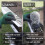 Leaf Filter Gutter Strainer & Downspout Guard  to 4inch Diameter Gutter Drain Cover & Gutter Down Spout Rain Protector 4