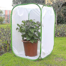 Insectenkweekkooi met kijkvenster 40x40x60cm voor natuurobservatie door kinderen