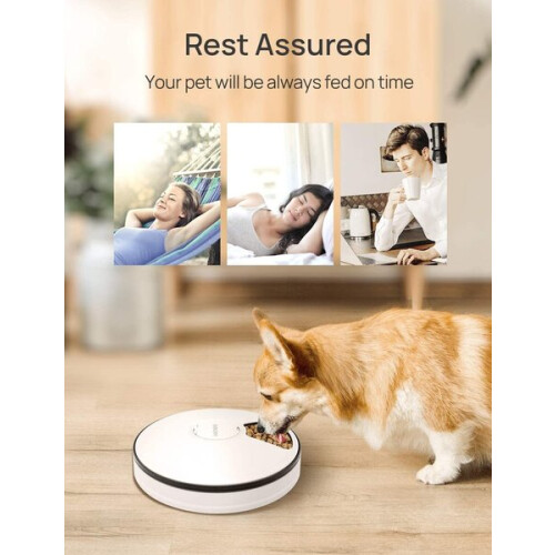 Programmable Pet Feeder with Timer, 6 Section 768ml Capacity for Precise Portion Control, Battery Powered Pet Bowl for Cats and Dogs 1