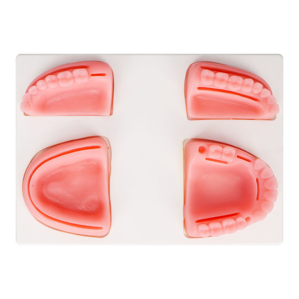 Dental Suture Practice Kit Silicone Model with Pliers & Tweezers for Training