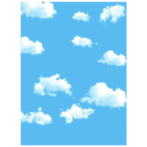 3X5Ft  Sky White Cloud Photography Backdrop Screen Background Studio Props & 3X5Ft Summer Seaside Beach 1