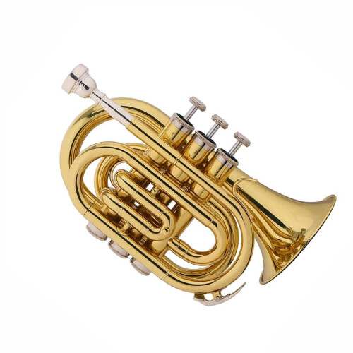 Bb Pocket Trumpet Brass Compact Design for Beginners Practice and Performance 1