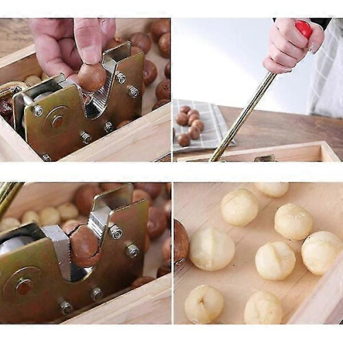 Leverage Nut Cracker for Pecans Walnuts Hazelnuts, Adjustable Groove Saves Effort, Keeps Nut Meat Intact, Steel Construction 2