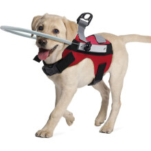 Anel Protetor Anti-Colisão para Cães Cegos, Coleira de Segurança com Altura e Largura Ajustáveis, Tamanhos P/M para Pets