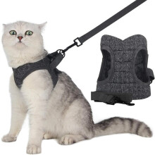 Ausbruchsichere Katzenlaufweste mit Sicherheitsschnallen und Leine, verstellbares, atmungsaktives und gepolstertes Design für mittelgroße Katzen