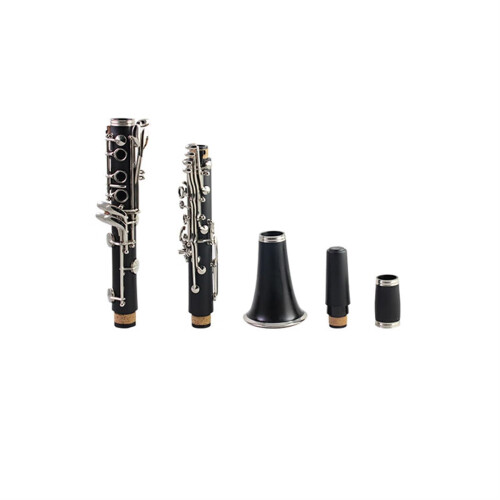 B Flat Clarinet for Beginners with Standard Tuning, Ergonomic Keys and Durable Construction Set 2