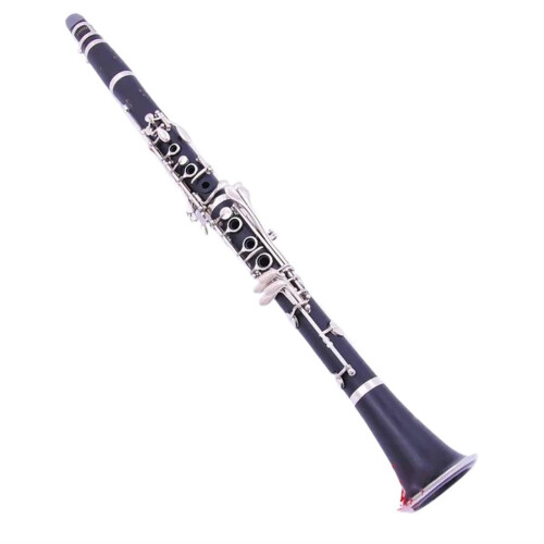 Professional B Flat Clarinet Set with Case and Accessories for Students and Beginners Black 1