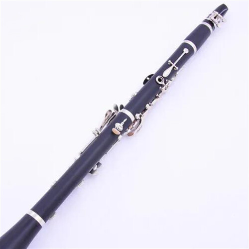 Professional B Flat Clarinet Set with Case and Accessories for Students and Beginners Black 2