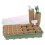 67PCS Seed Starter Kit Tray with Lid Biodegradable Pots Indoors 8