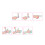 12 Roll Self Elastic Wrap Tape Pink 3