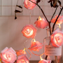 Pink and White Petal LED String Lights, Warm White 3 Metre Battery Operated, Romantic Decoration for Bedroom Garden Party