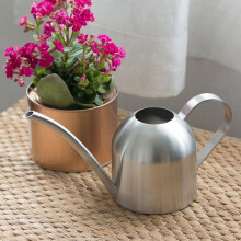 Watering Can with Long Spout and Ergonomic Handle, 1000ml Stainless Steel for Indoor Plants and Greenhouse