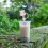 2Pcs White Silicone Straw Plugs Dustproof Drinking Straw Covers 4