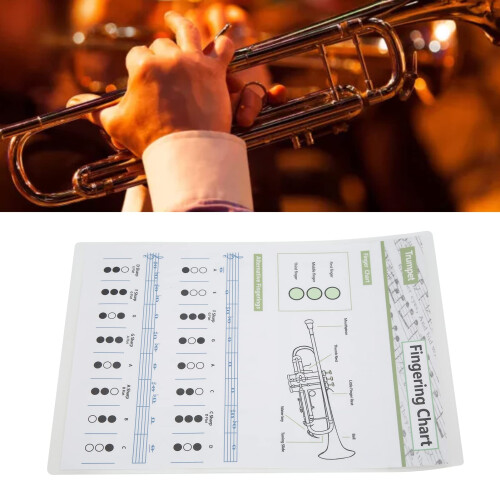 Trumpet Fingering Chart Small Note Guide Clear Reference Durable Art Paper for Beginners 1