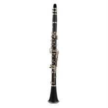 Professional B Flat Clarinet with Nickel Plated Keys, Case and Accessories