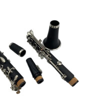 Professional B Flat Clarinet Set with Case and Accessories for Students and Beginners Black
