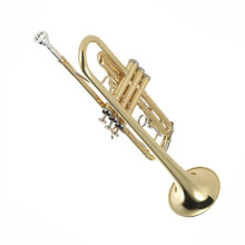 Bb Trumpet for Beginners Durable Brass GoldPainted Finish Student Musical Instrument