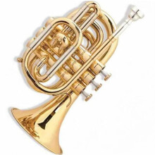 Bb Pocket Trumpet Brass Compact Design Professional Bb Performance Durable Stainless Steel