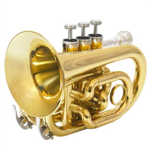 Bb Pocket Trumpet Brass Compact Design for Beginners Practice and Performance