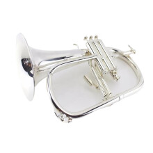 Silver Plated Bb Trumpet for Beginners with Mouthpiece, Student Brass Instrument, Clear Tone Performance