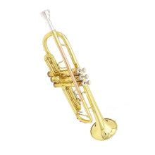 Bb Trumpet for Beginners Brass Gold Finish Standard Set with Warm Focused Tone and Stable Tuning