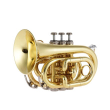 Pocket Trumpet Bb Brass for Beginners with Mouthpiece, Accessories and Carrying Case